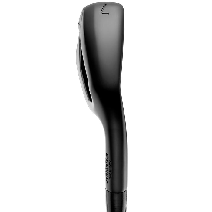 Mizuno JPX925 Hot Metal Black Irons Custom