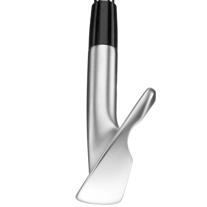 Mizuno Pro S-1 Irons - Steel LH