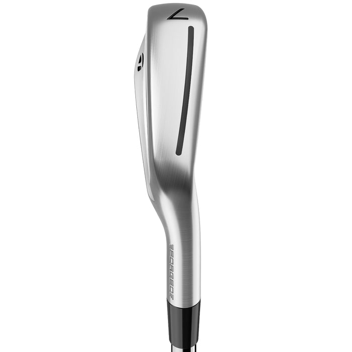 TaylorMade P790 25 Irons - Steel RH